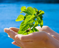 Help for Mums starting in Business | Empowering Mumpreners